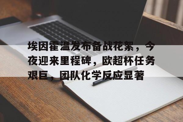 禁止犯规霍听澜叶辞笔趣阁